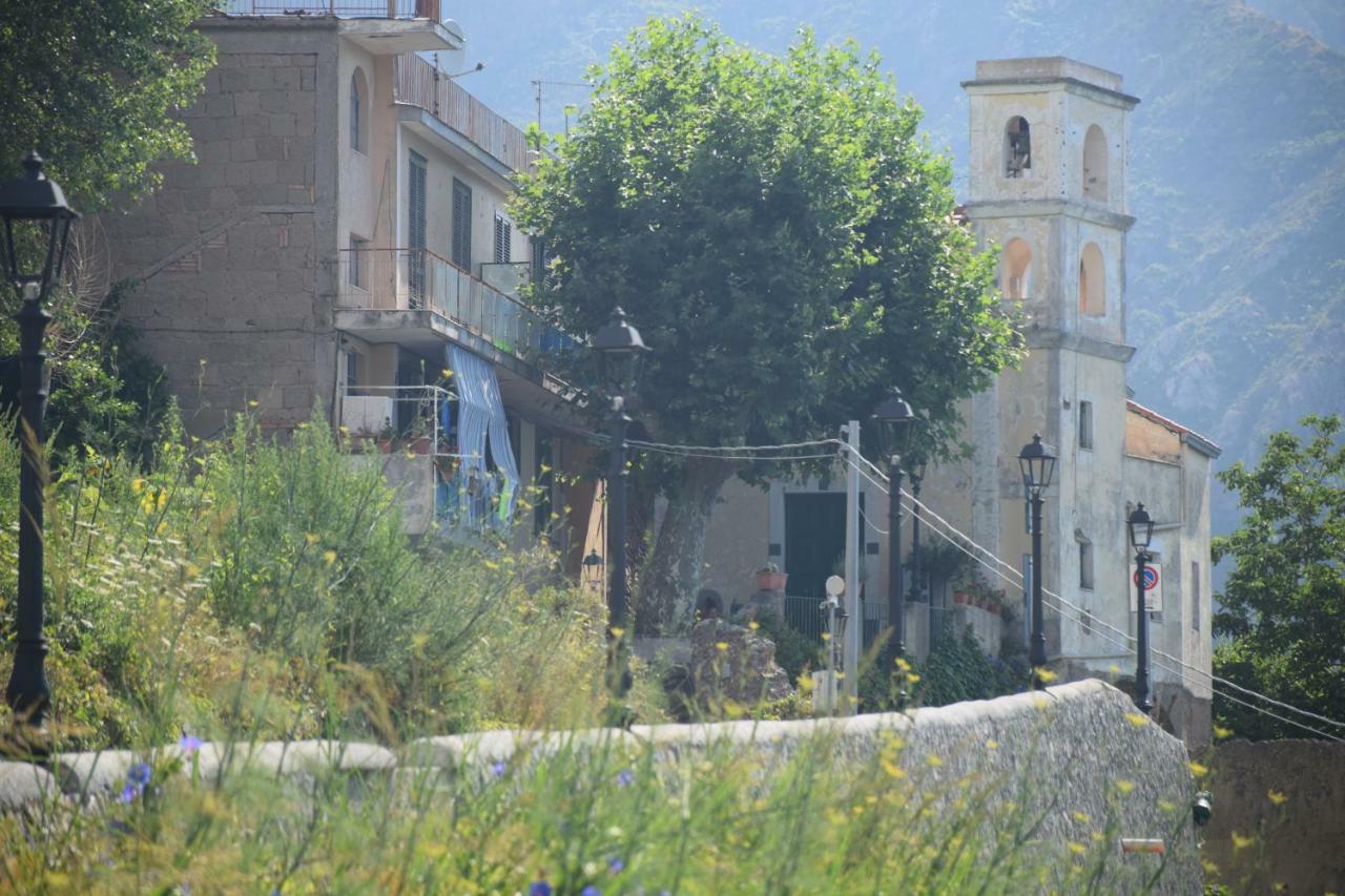 Torre Elisea Bed & Breakfast Minori Exterior photo